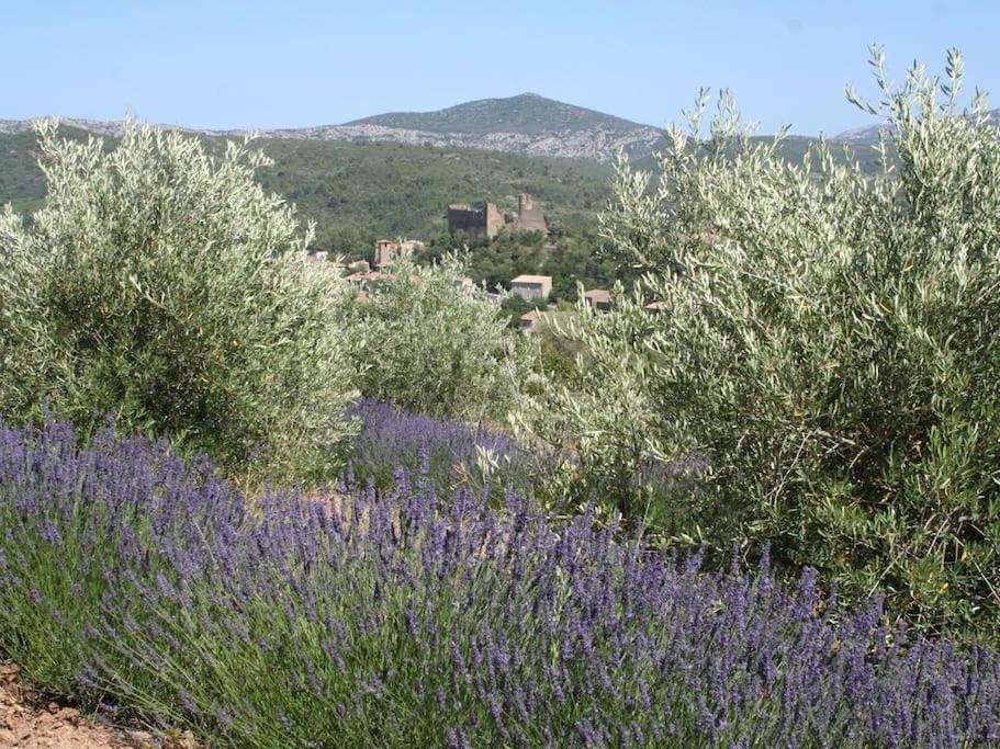 Bergerie Marcel Villa Durban-Corbieres Eksteriør billede