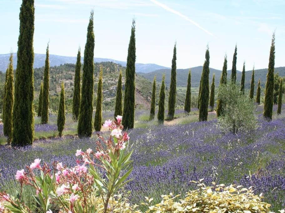 Bergerie Marcel Villa Durban-Corbieres Eksteriør billede